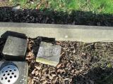 image of grave number 379619